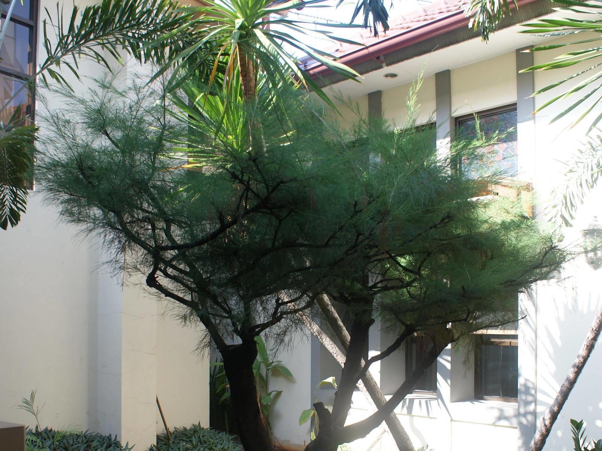 Sofyan Hotel Soepomo Jakarta Exterior photo